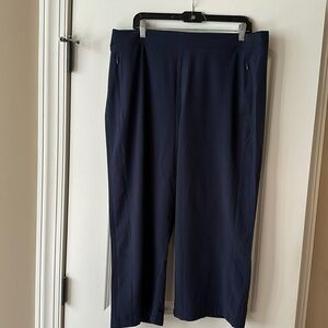 Chico’s navy pants—poly spandex activewear